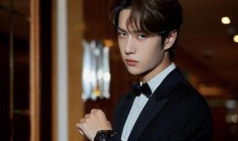 老王爆料王源视频播放