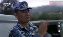 蓝火刀锋全集在线观看